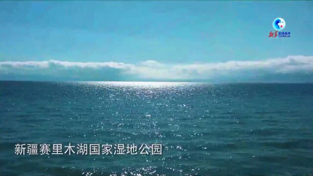 新疆:沙海绿洲 “三山两盆”孕育湿地之美