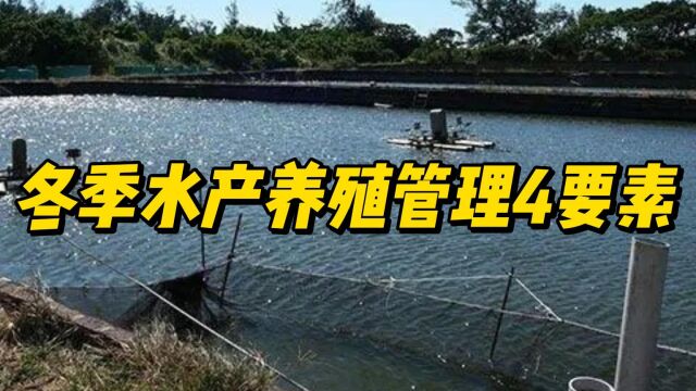 冬季水产养殖池塘管理4要素