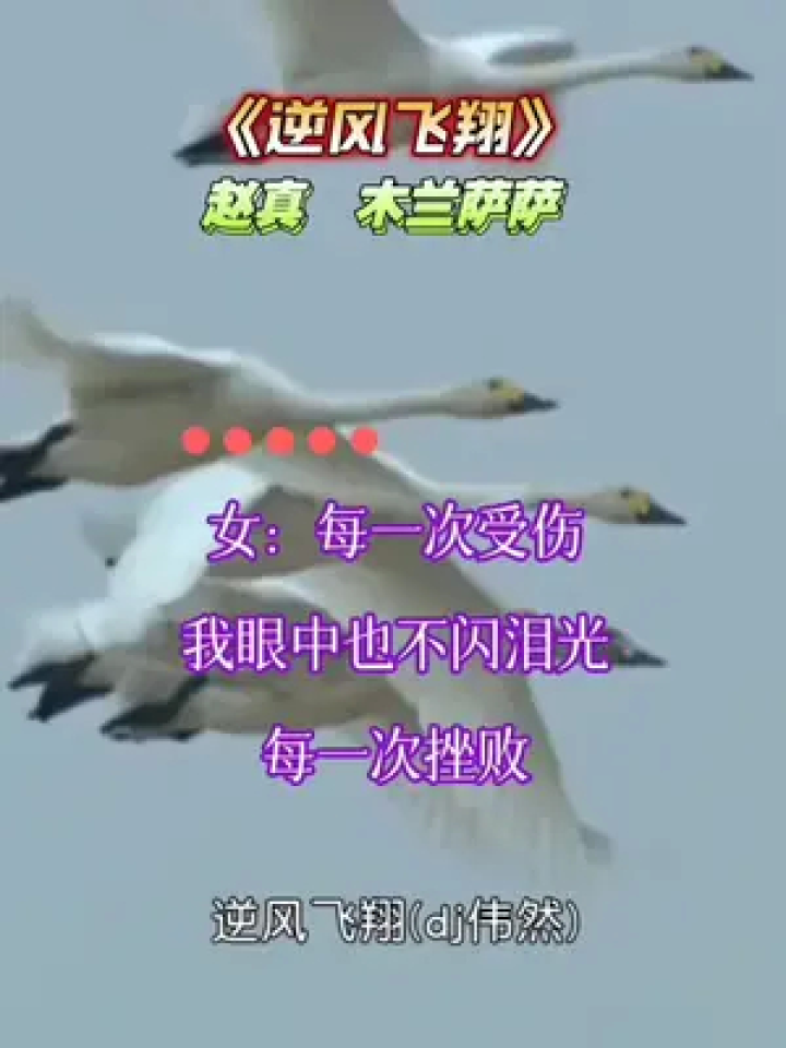 新歌《逆风飞翔》赵真木兰萨萨对唱#舞曲完整版#太好听了_高清1080P在线观看平台_腾讯视频