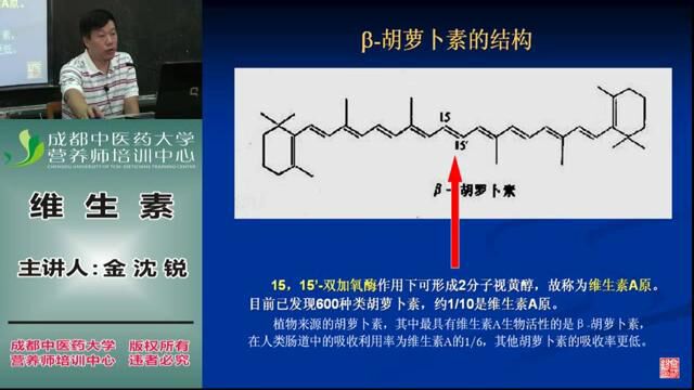 营养师全套教程 3. 基础营养 维生素3