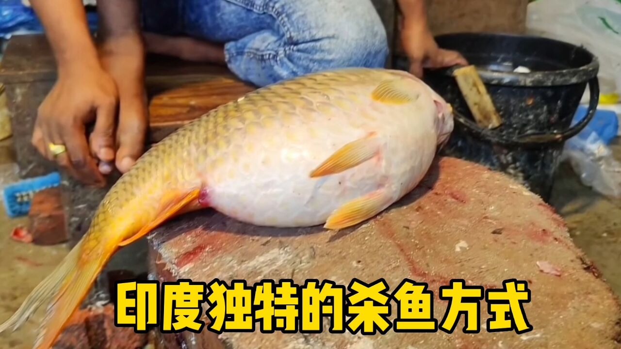 印度独特的杀鱼方式,手法奇特,刀工一流_高清1080P在线观看平台_腾讯视频