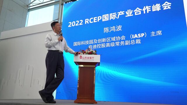 2022RCEP国际产业合作峰会—企业路演