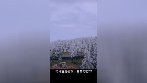 今日重庆仙女山雾景221207