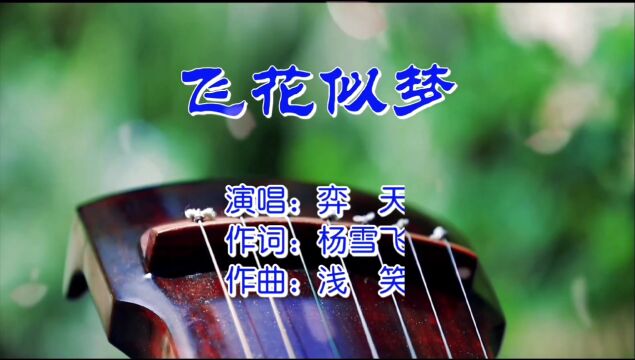 飞花似梦MV演唱:弈天 作词:杨雪飞 作曲:浅笑