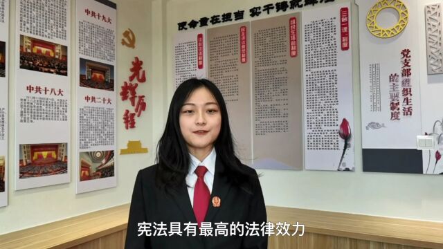 【宪法宣传周】抚顺市新抚区人民法院开展线上“云普法” 把宪法知识送到你的身边