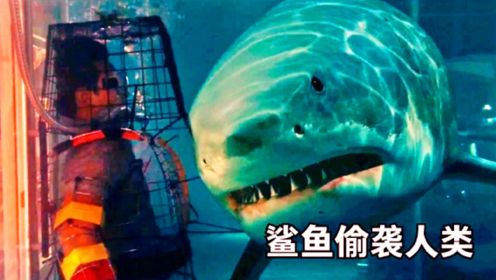 大海啸席卷城市，大白鲨潜入商场，偷袭幸存人类，惊悚片