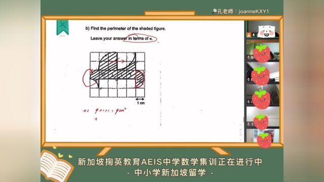 中小学新加坡留学掬英教育AEIS中学数学集训正在进行中!