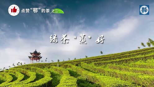恩施玉露是中国传统历史名茶，选用地方优良品种茶树鲜叶，经特定工艺加工而成“形似松针、清香持久”的蒸青针形绿茶