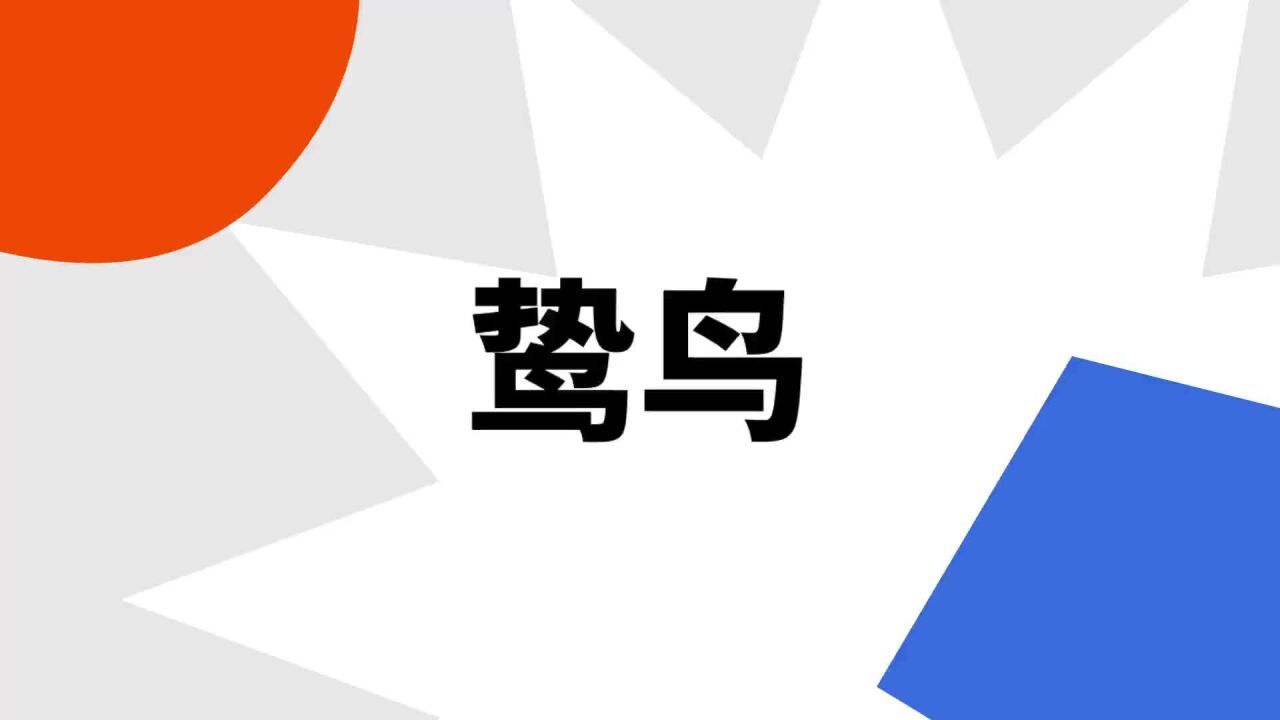 鸷鸟_搜狗百科