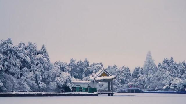 #治愈系风景 #庐山赏雪攻略 #庐山#庐山旅游