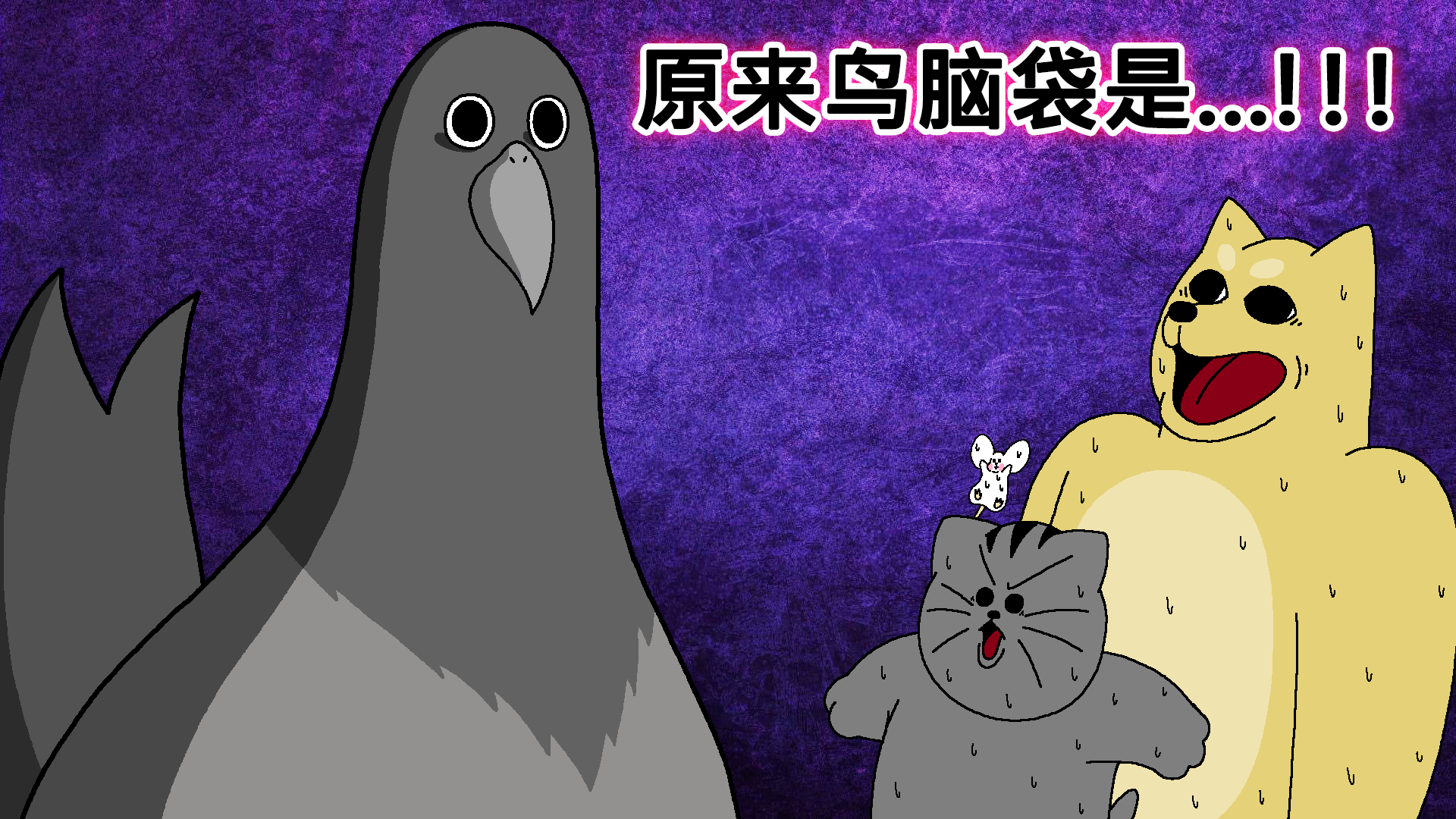 禽兽朋友们鸟脑袋口头禅的简单介绍