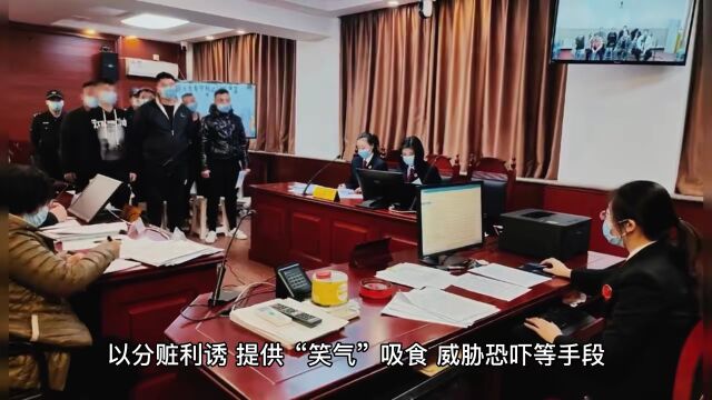 锦州地区本年度唯一一起“恶势力”团伙犯罪案件公开宣判