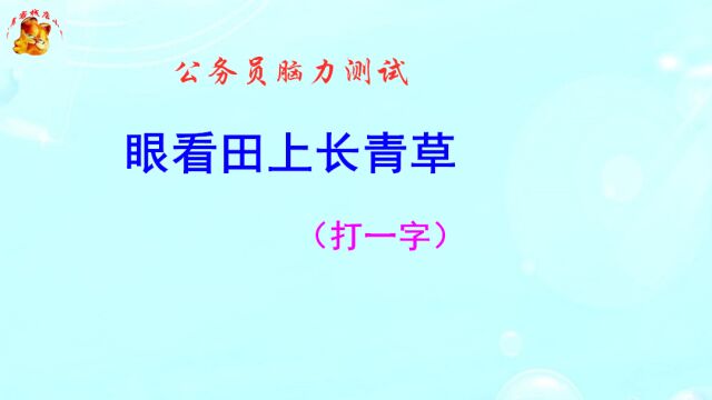 公务员脑力测试,眼看田上长青草打一字,猜出是将才