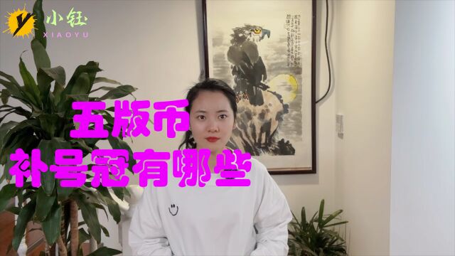 五版币中各版别的,补号冠具体是哪些?