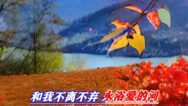 小芳伴奏  花开满山坡 (DJ版)