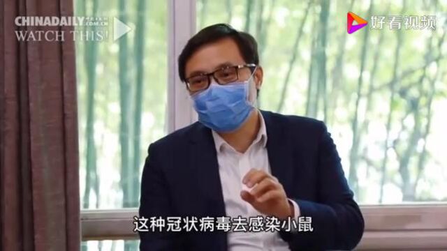 黄璐琦:化湿败毒方在武汉新冠肺炎患者救治中发挥了积极作用