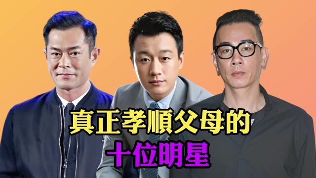 真正孝顺父母的10位明星,古天乐 佟大为 陈小春等,你还知道有哪位?