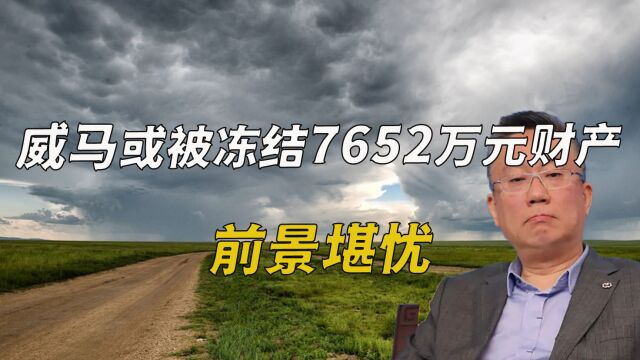 威马被冻结7652万元财产,前景堪忧