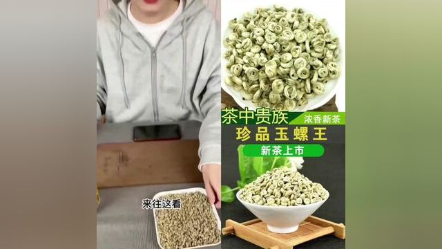 茉莉花茶2022新茶特级 茉莉玉螺王浓香型 广西横县茉莉花茶玉螺王#茉莉花茶 #茉莉花茶玉螺王 #茉莉玉螺王 #花茶