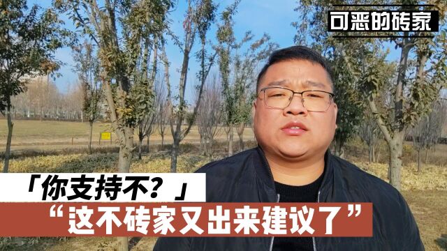 这不“砖家”又出来建议了