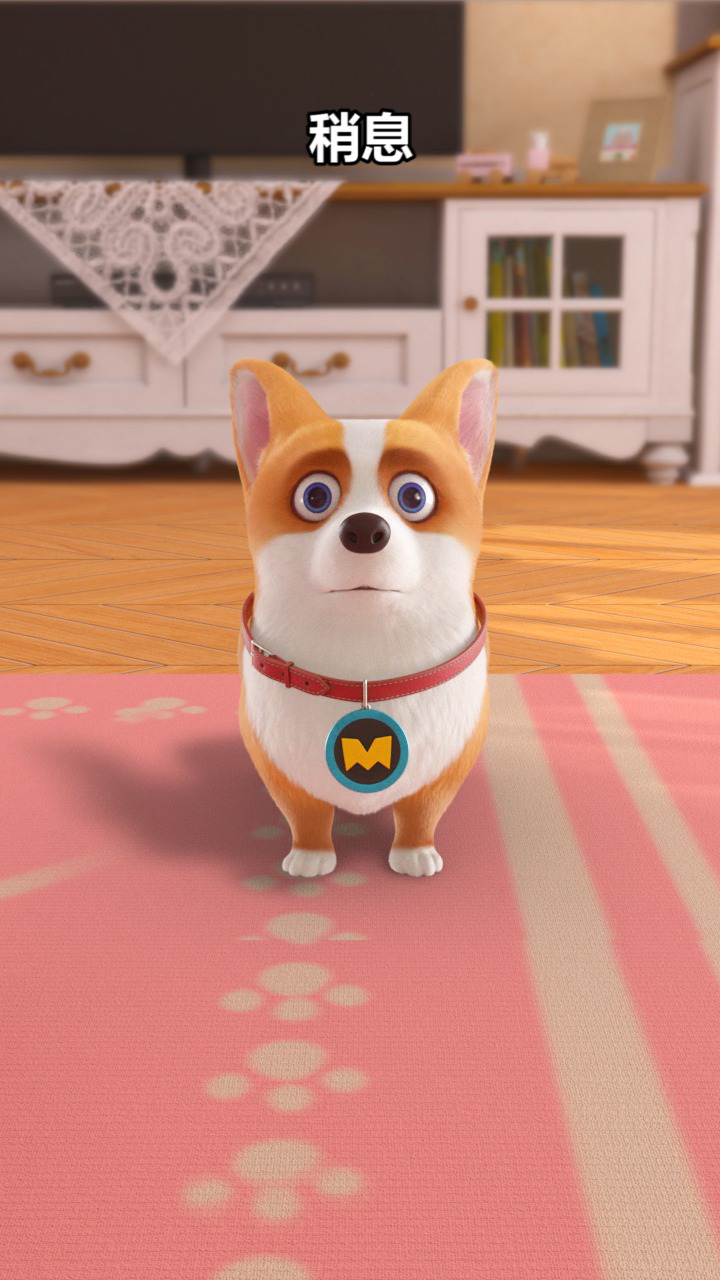 短腿小柯基：柯基犬的可爱时刻神盘点，每个都超搞笑！_高清1080P在线观看平台_腾讯视频