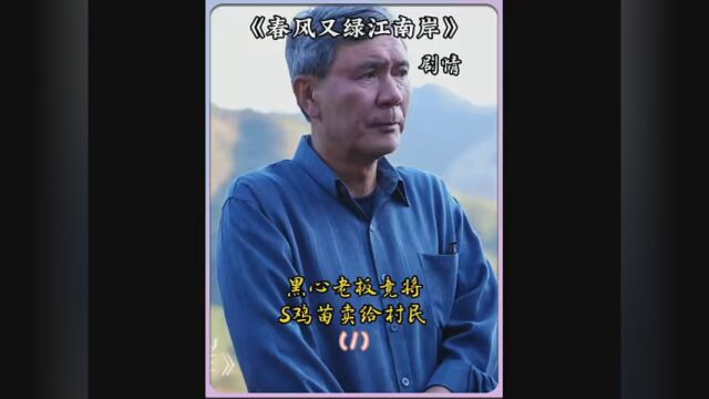 第5集|黑心老板竟全将一堆s鸡苗卖给村民种植 #春风又绿江南岸