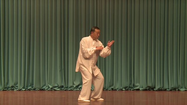 邓新华先生演练洪式太极拳一路(上传:李延峰)