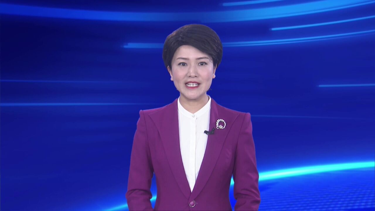 王智慧主持召开南阳市政府常务会议