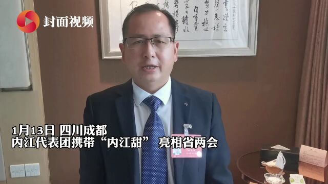 “内江甜”亮相四川省两会 代表们积极为家乡特产代言|代表委员有话说