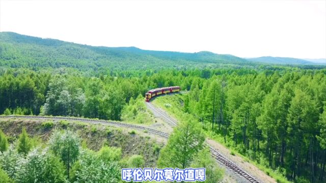 莫尔道嘎金秋之旅:探索北纬51Ⱗš„叶子之约