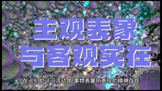 主观表象与客观实在