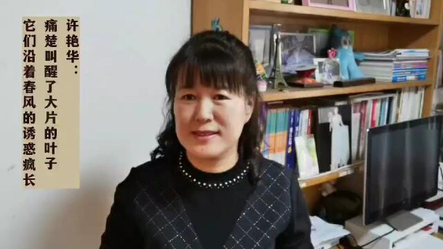 我在一颗石榴里看见了我的祖国