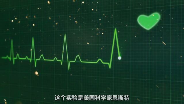 探索人类性行为过程中的“猝死”现象