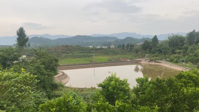 小钳口大明堂,来山蜂腰鹤膝,王君植分享四川风水大地