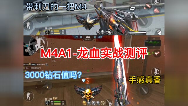 M4A1龙血实战测评