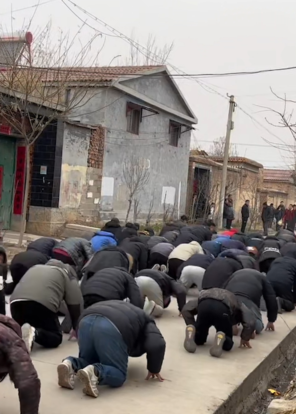 山东走亲戚名场面:家族百来号人共同跪拜祖先