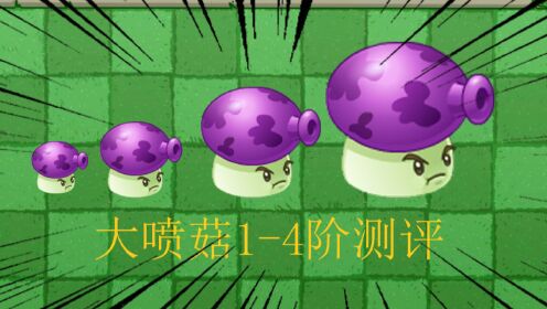021植物大战僵尸2:大喷菇1-4阶测评,大招燃爆全屏!