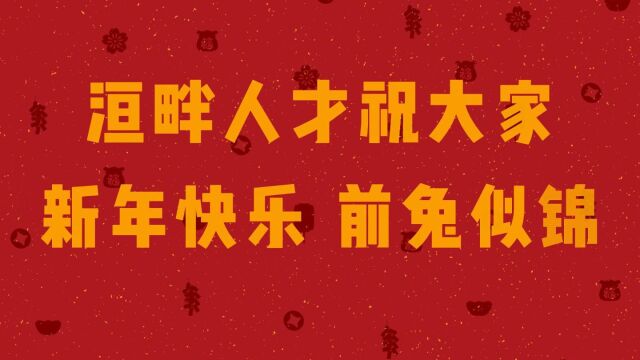 安阳人才官网/洹畔人才新年视频(一)