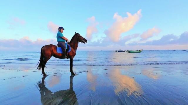 中盟海骑!