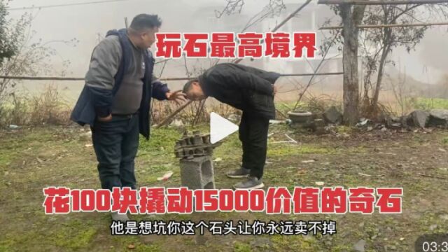 五年前石商花100块撬动15000价值的奇石,等五年后低价收购