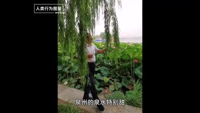 旅游的你们快不快乐我不知道,但看你们旅游的我是真的很快乐!