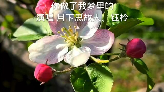 《你做了我梦里的》是一首充满温情和感性的歌曲.在短视频场景下,这段音乐能够很好地表达温馨、感人的氛围,适合搭配一些浪漫、幻想的画面.