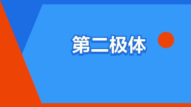 “第二极体”是什么意思?