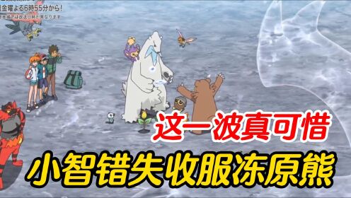宝可梦小智最终章：这一波真可惜，小智错失收服冻原熊!_高清1080P在线观看平台_腾讯视频