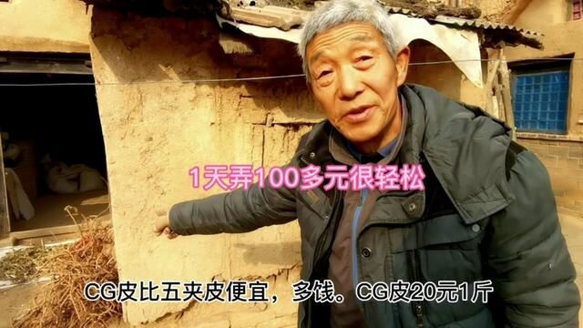 河南农村老人过年不出门,每天还可赚100多元,感觉很轻松