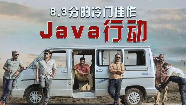 8.3分的冷门佳作,看过的人不超过10个,讲临时工故事的java行动