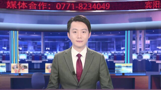 2.11《宾阳新闻》