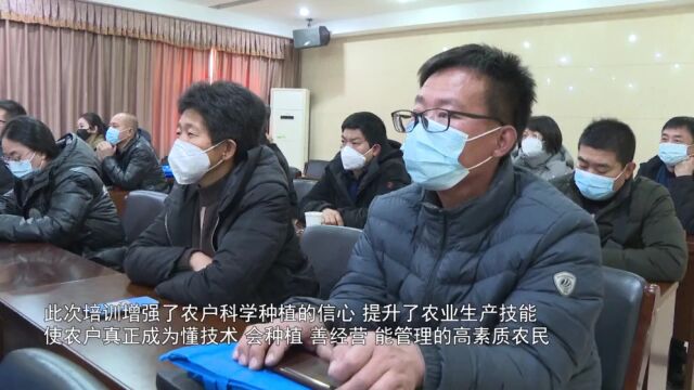 中新网丨石家庄市鹿泉区:人勤春来早 农技培训正当时