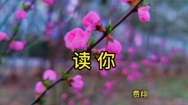 怀旧歌曲 读你