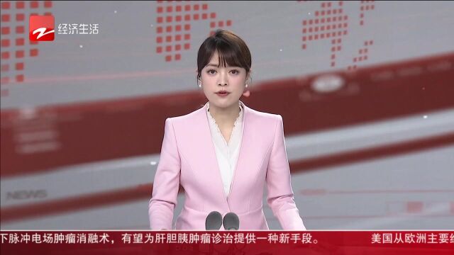 2023向阳而生 浙江招商团欧洲“大收获” 德国企业:在浙开厂是我们的第一步